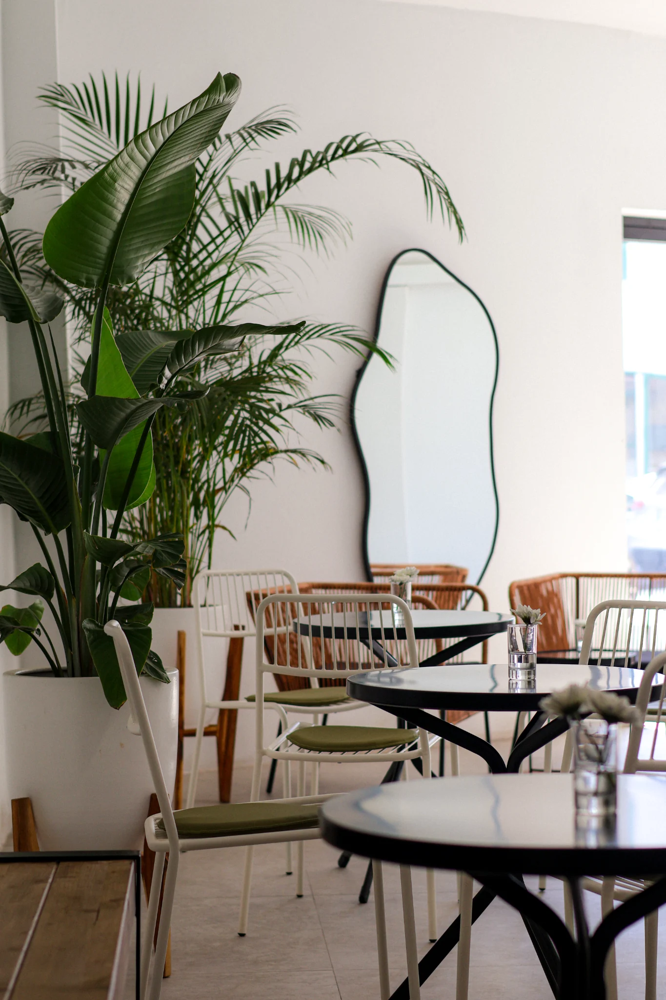 Sedie bianche, tavoli neri, piante e specchio curvo nel Los Santos Café.